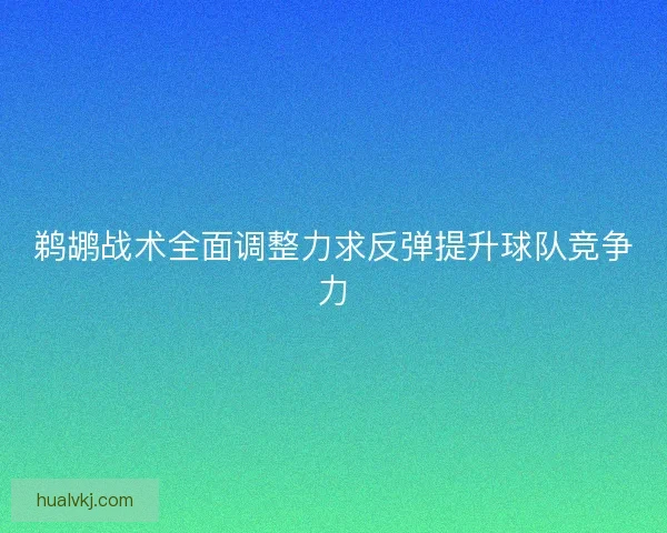 鹈鹕战术全面调整力求反弹提升球队竞争力